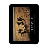 Magnet Flexible Secourt : Citation Inspirationnelle 1 (Vertical)