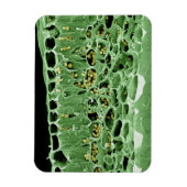 Magnet Flexible Section transversale de la feuille (Vertical)