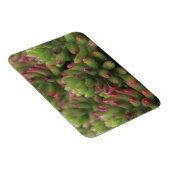 Magnet Flexible Sedum plante, Arizona-Sonora Desert Museum, (Côté Droit)