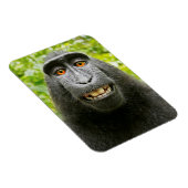 Magnet Flexible Selfie de singe (Côté Droit)