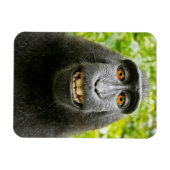 Magnet Flexible Selfie de singe (Horizontal)