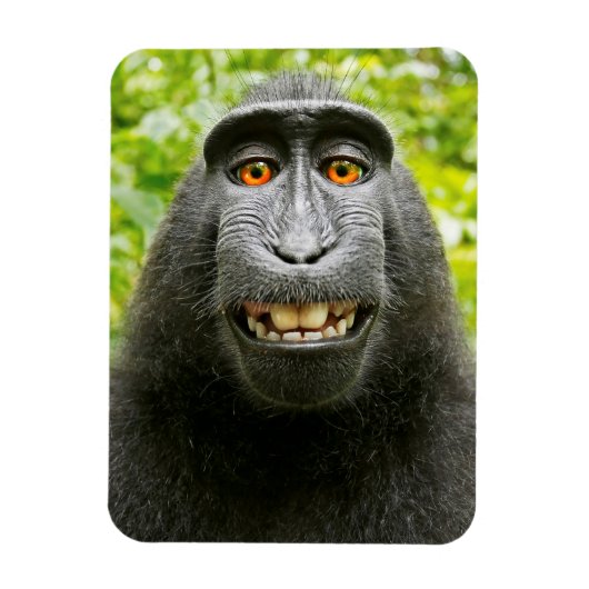 Magnet Flexible Selfie de singe (Vertical)