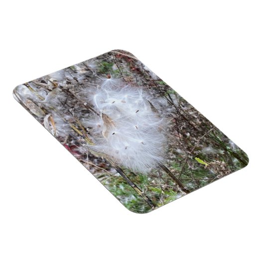 Magnet Flexible Semences d'algue et soie flexible (Côté Droit)