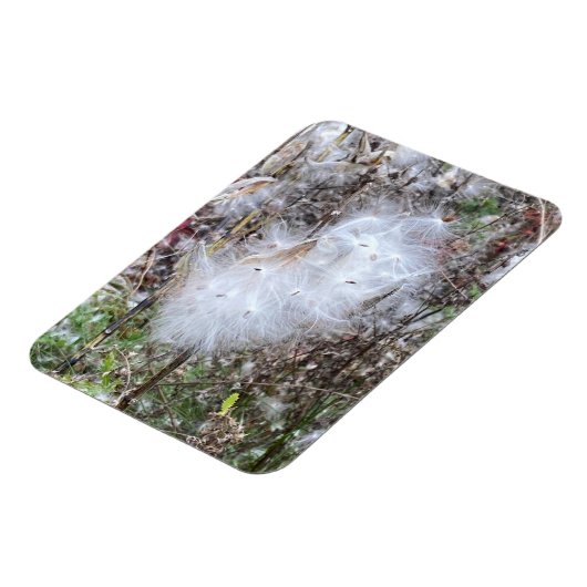 Magnet Flexible Semences d'algue et soie flexible (Côté Gauche)