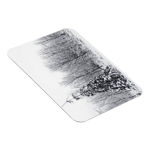 Magnet Flexible séparation de l'incertitude (Côté Droit)