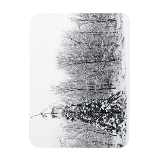 Magnet Flexible séparation de l'incertitude (Vertical)