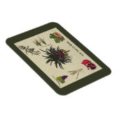 Magnet Flexible Sept espèces (Côté Droit)