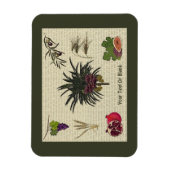 Magnet Flexible Sept espèces (Vertical)