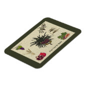 Magnet Flexible Sept espèces (Côté Gauche)