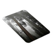 Magnet Flexible Séquoia géantes dans le brouillard, CA (Côté Droit)
