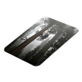 Magnet Flexible Séquoia géantes dans le brouillard, CA (Côté Gauche)