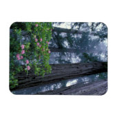 Magnet Flexible Séquoias côtiers et rhododendrons (Horizontal)