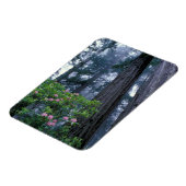 Magnet Flexible Séquoias côtiers et rhododendrons (Côté Gauche)