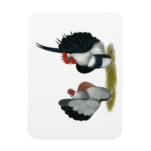 Magnet Flexible Serama Bantams (Vertical)