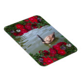 Magnet Flexible Serene Goose Of Wild Rose Pond (Côté Droit)