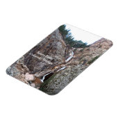 Magnet Flexible Seven Falls, Colorado Springs (Côté Gauche)