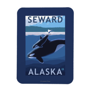 Magnet Flexible Seward, AlaskaOrca et Calf Scene