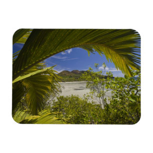 Magnet Flexible Seychelles, île Curieuse, baie Laraie