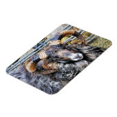 MAGNET FLEXIBLE SHEEP (Côté Gauche)