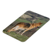 Magnet Flexible Shephard allemand regardant la colline (Côté Gauche)