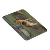 Magnet Flexible Shephard allemand regardant la colline (Côté Droit)