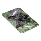 Magnet Flexible Sibérien | Portrait de chat (Côté Droit)