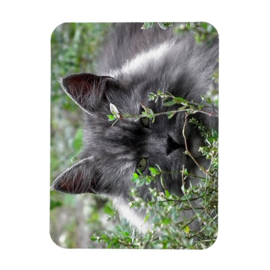 Magnet Flexible Sibérien | Portrait de chat (Vertical)