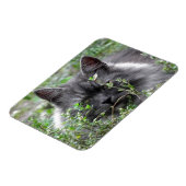 Magnet Flexible Sibérien | Portrait de chat (Côté Gauche)