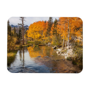 Magnet Flexible Sierra orientale, Bishop Creek, sortie de Californ