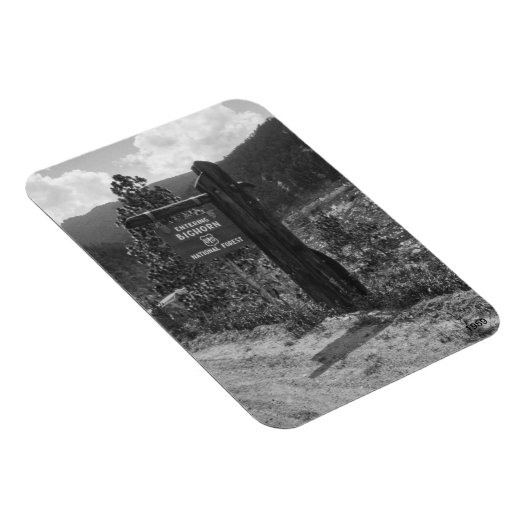 Magnet Flexible Signe d'entrée dans la forêt nationale de Bighorn (Côté Droit)