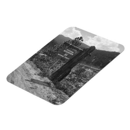 Magnet Flexible Signe d'entrée dans la forêt nationale de Bighorn (Côté Gauche)