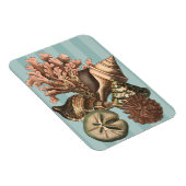 Magnet Flexible Silhouette Sea Life (Côté Droit)