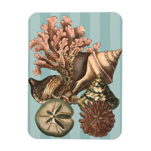 Magnet Flexible Silhouette Sea Life