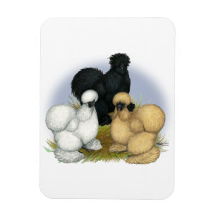 Magnet Flexible Silkie Trio