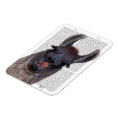 Magnet Flexible Silly Llama (Côté Gauche)