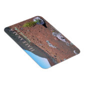 Magnet Flexible Silversword, Dunes de sable, Parc national de Hale (Côté Droit)