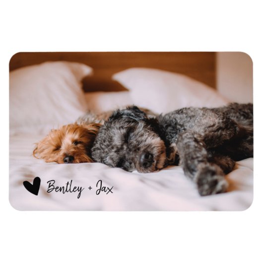 Magnet Flexible Simple moderne photo pleine chien animal de compag (Horizontal)