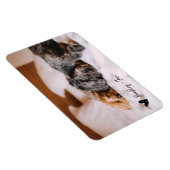 Magnet Flexible Simple moderne photo pleine chien animal de compag (Côté Droit)