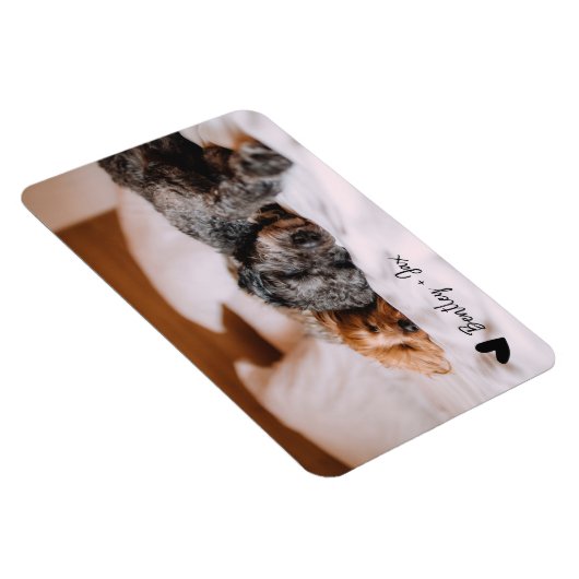 Magnet Flexible Simple moderne photo pleine chien animal de compag (Côté Droit)