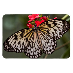 Magnet Flexible Simplement un papillon Paper Kite