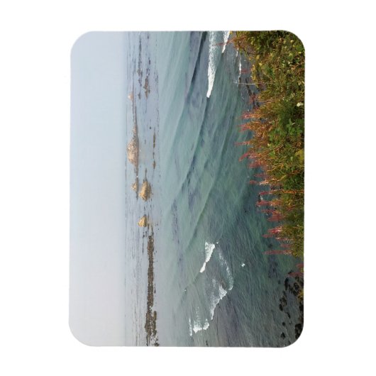 Magnet Flexible Simpson Reef Overlook (Vertical)