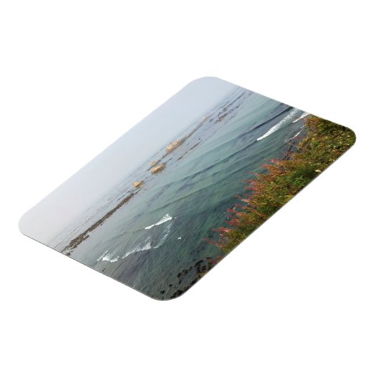 Magnet Flexible Simpson Reef Overlook (Côté Gauche)