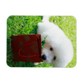 Magnet Flexible Singapour 7 (Horizontal)