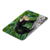 Magnet Flexible Singe Capucin Adulte Portant Le Bébé Sur Son Dos (Côté Gauche)