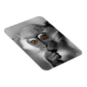 Magnet Flexible Singe de Mangabey de bébé (Côté Droit)