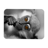 Magnet Flexible Singe de Mangabey de bébé (Horizontal)
