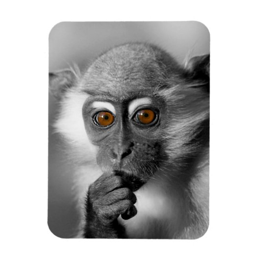 Magnet Flexible Singe de Mangabey de bébé (Vertical)