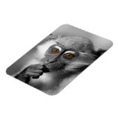 Magnet Flexible Singe de Mangabey de bébé (Côté Gauche)