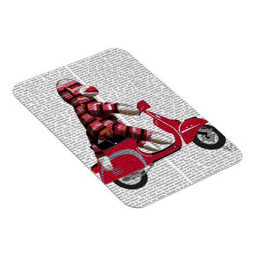 Magnet Flexible Singe de queue sur cyclomoteur (Côté Droit)