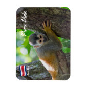 Magnet Flexible Singe écureuil à Manuel Antonio NP - Costa Rica (Vertical)